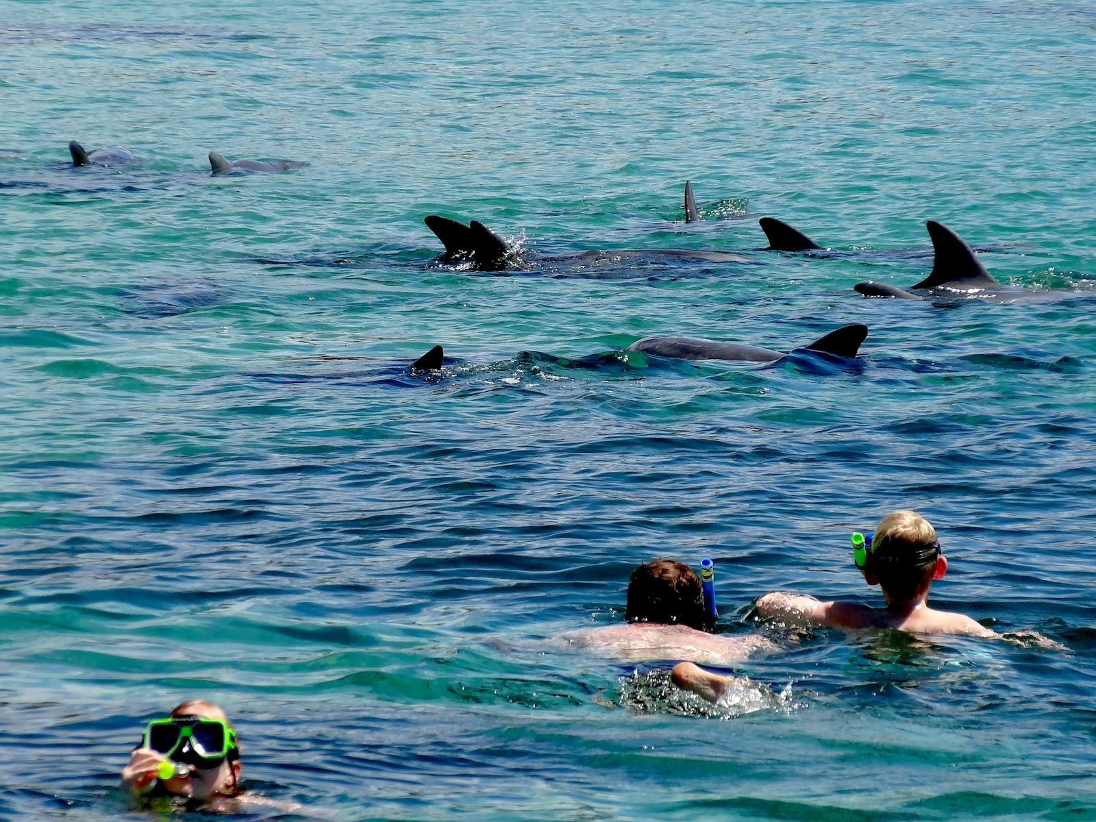 Kangaroo Island Marine Adventures