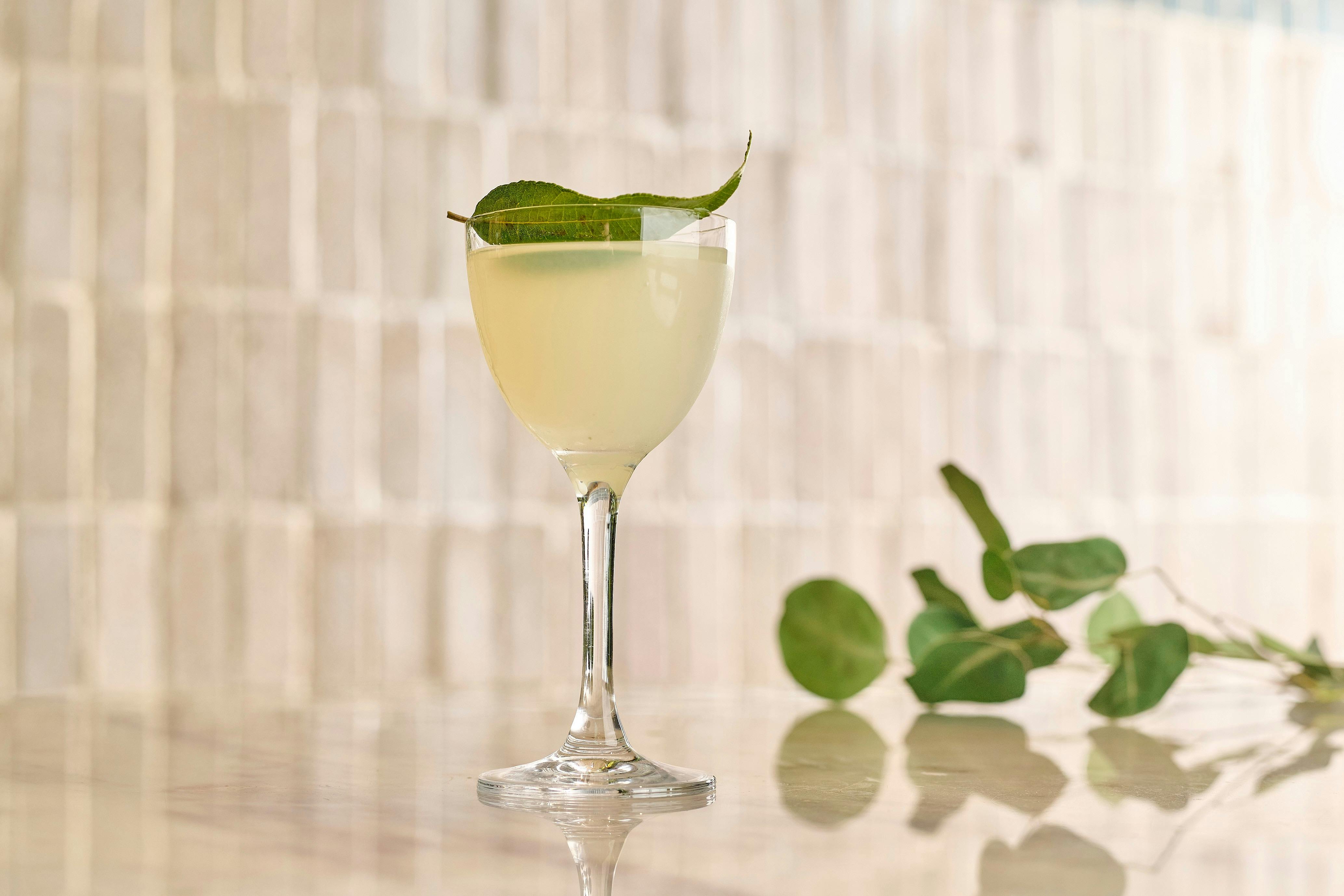 Botanically inspired cocktail at Green Moustache in North Sydney