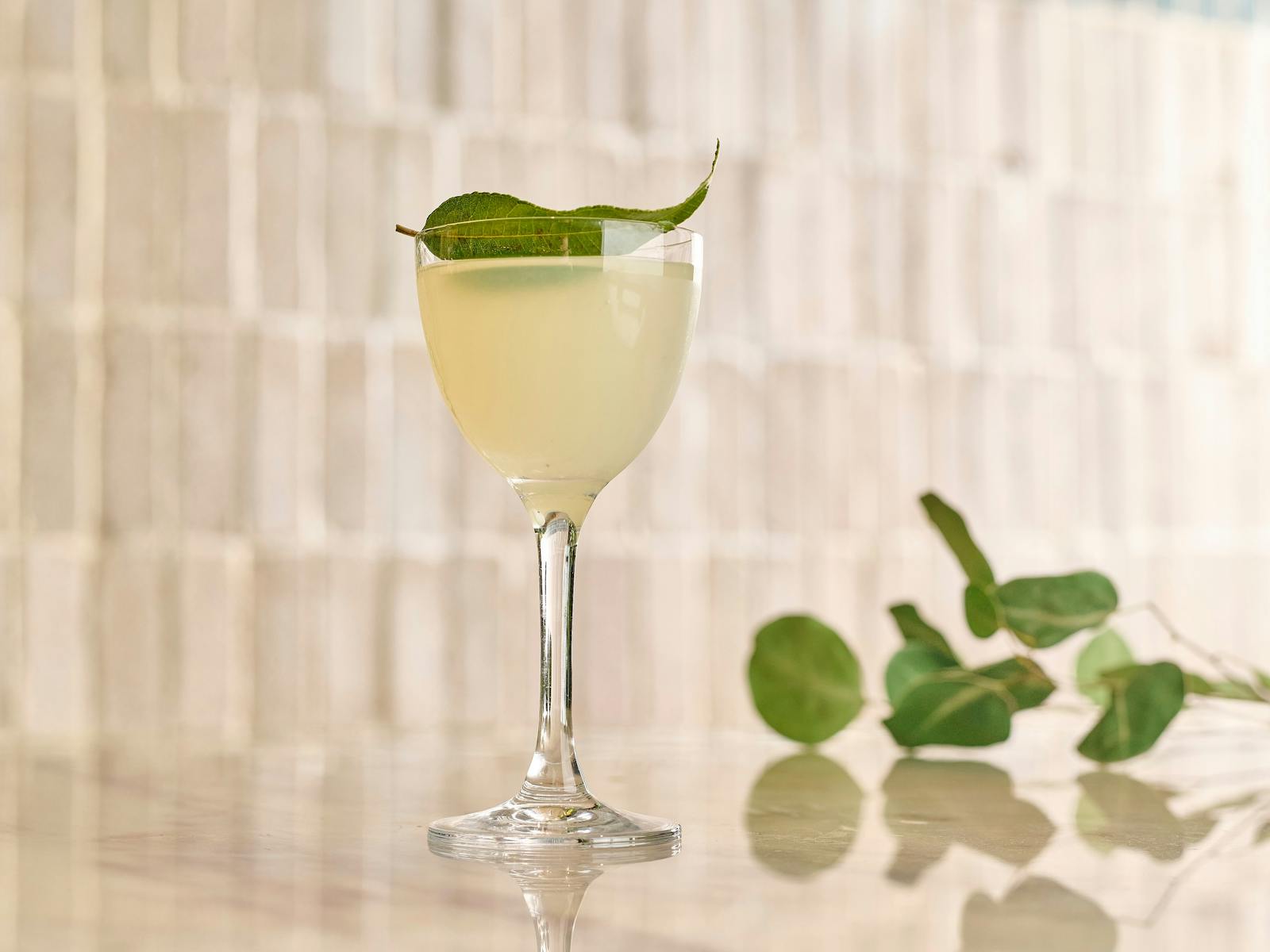 Botanically inspired cocktail at Green Moustache in North Sydney