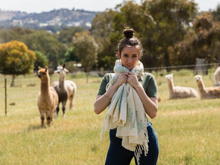alpaca farm and handwoven throw