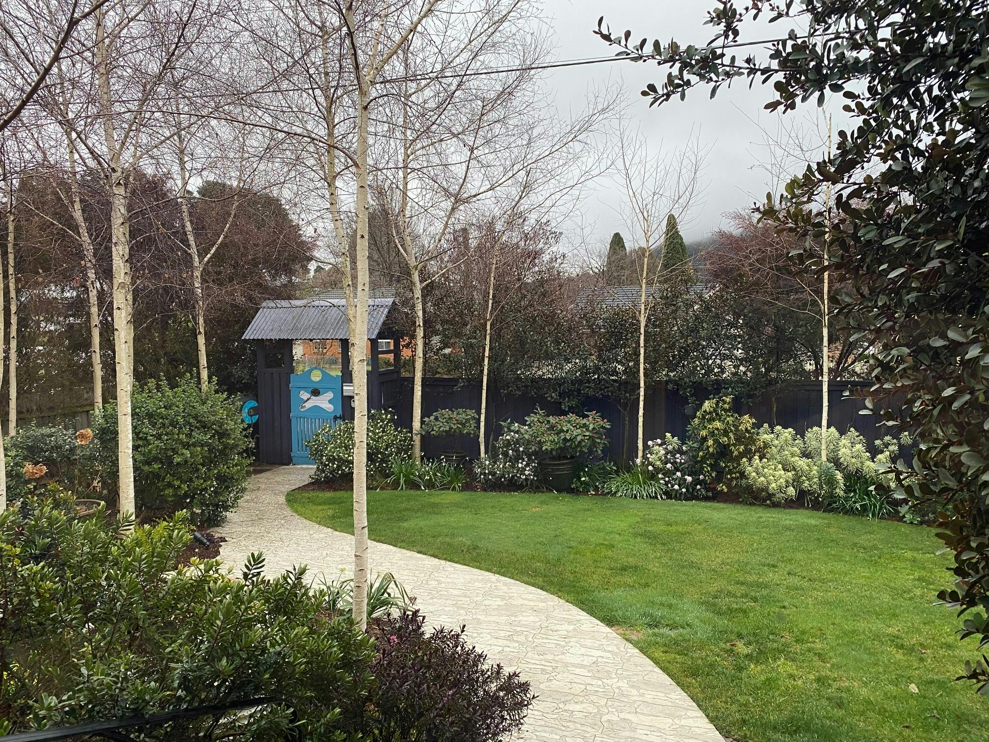 Front garden in Winter