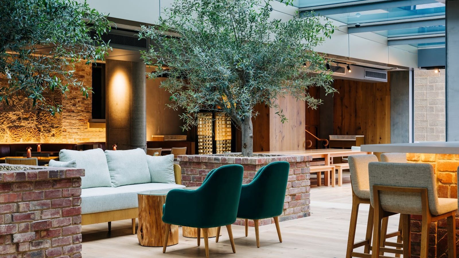 Peppina offers a light filled atrium featuring mature olive trees