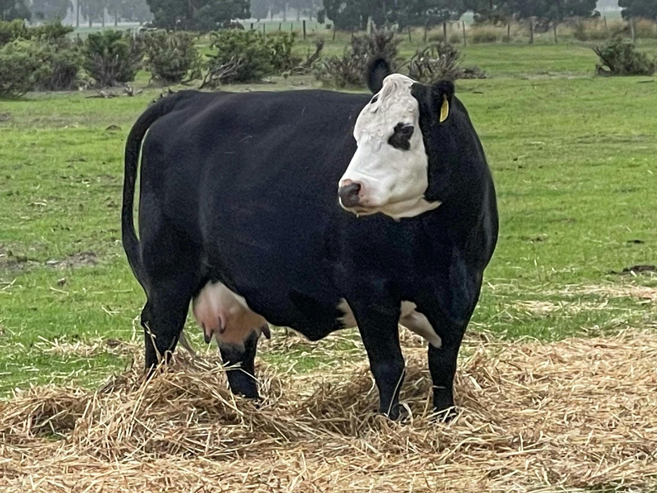 Esperance Farm, Experience, Merrivale, Western Australia