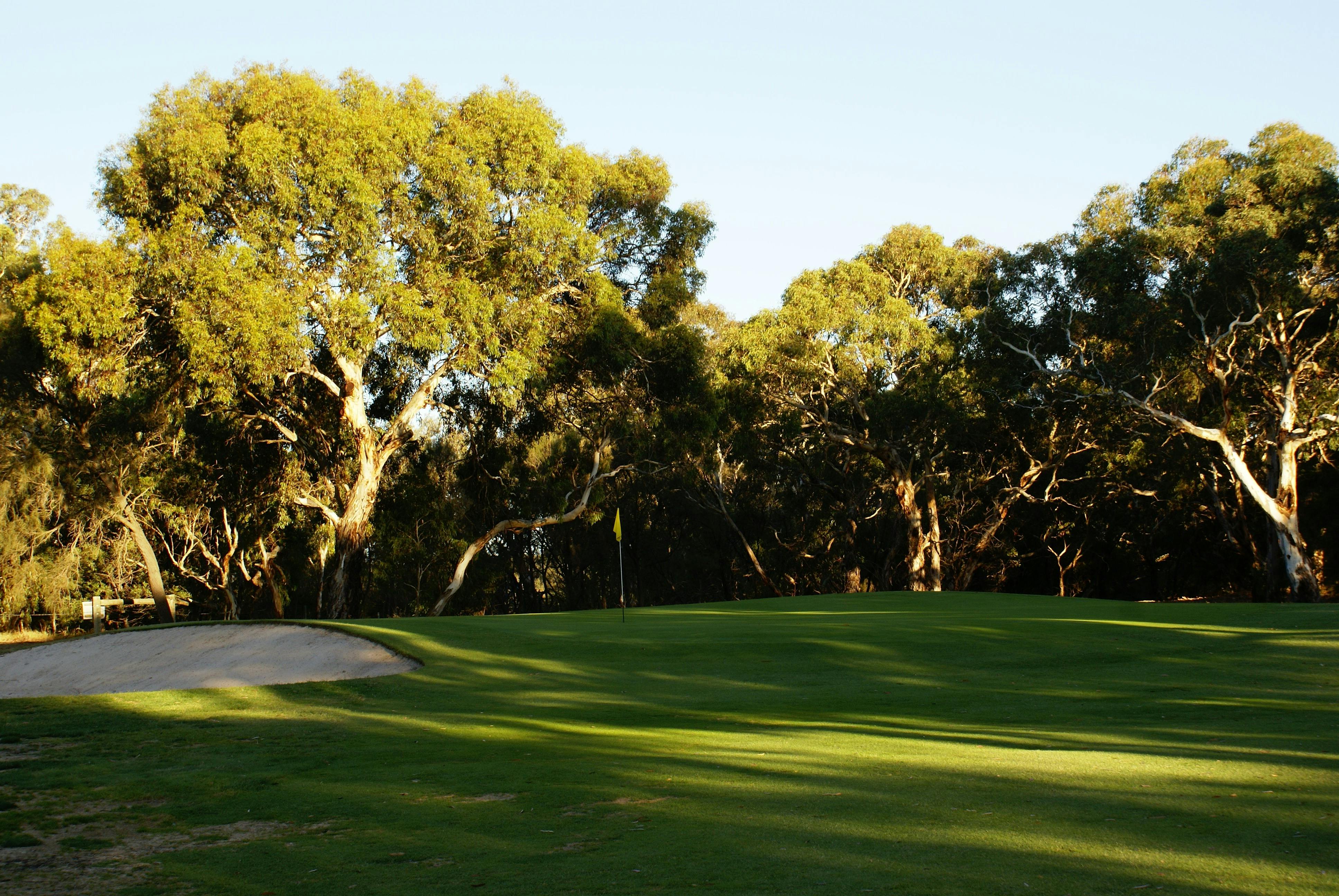 Our course is surrounded by natural bushland with native birds and kangaroos around the course