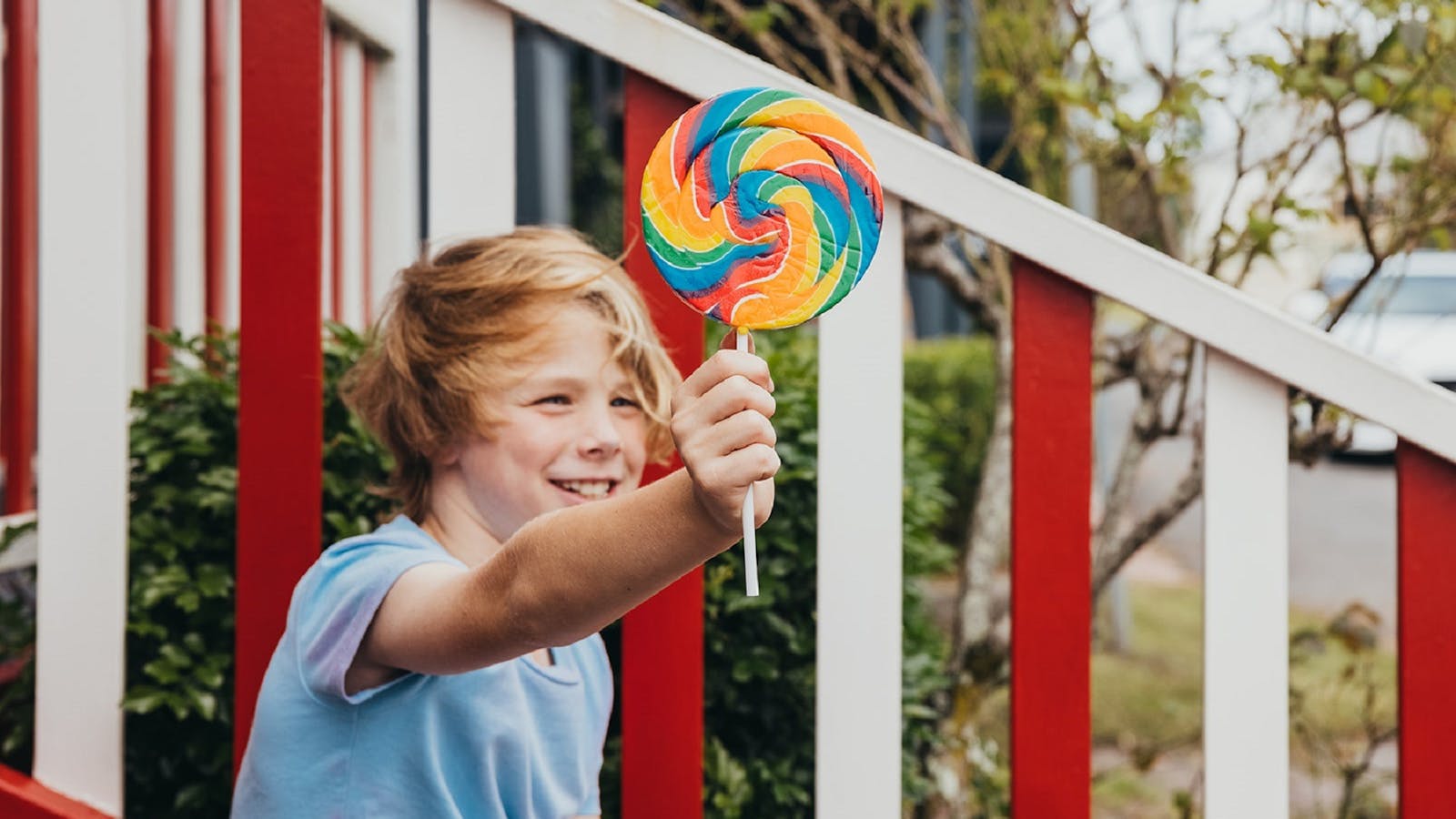 Miss Lily's Lollies