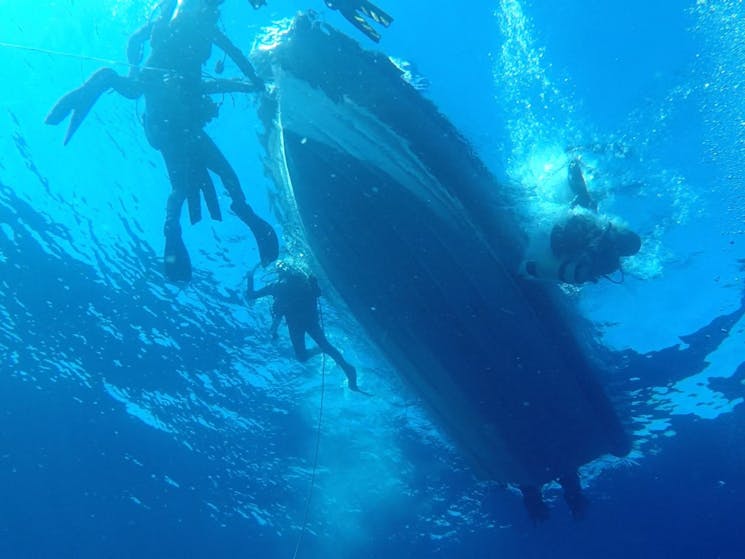 Diving off Ulladulla