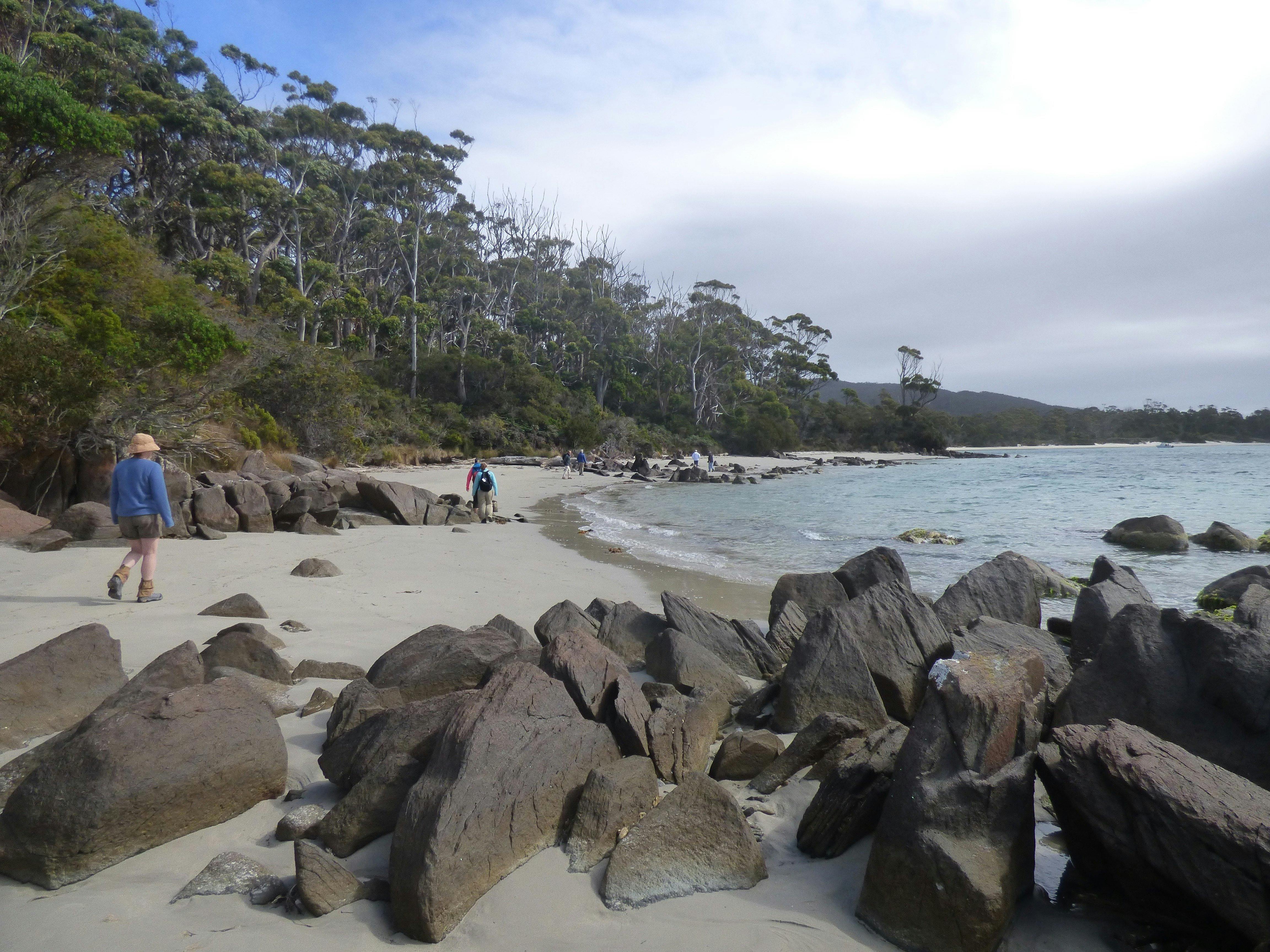 Coral Expeditions - Tasmania