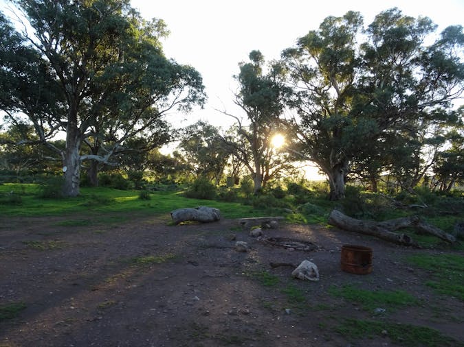 Catninga Bush Camping Powered Sites