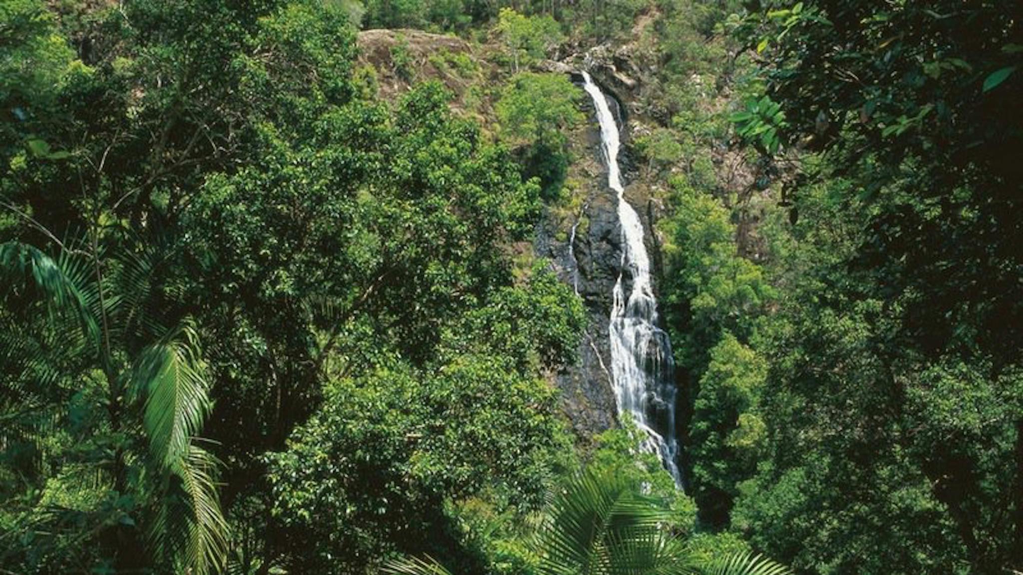 Mapleton | Destination-information | Queensland