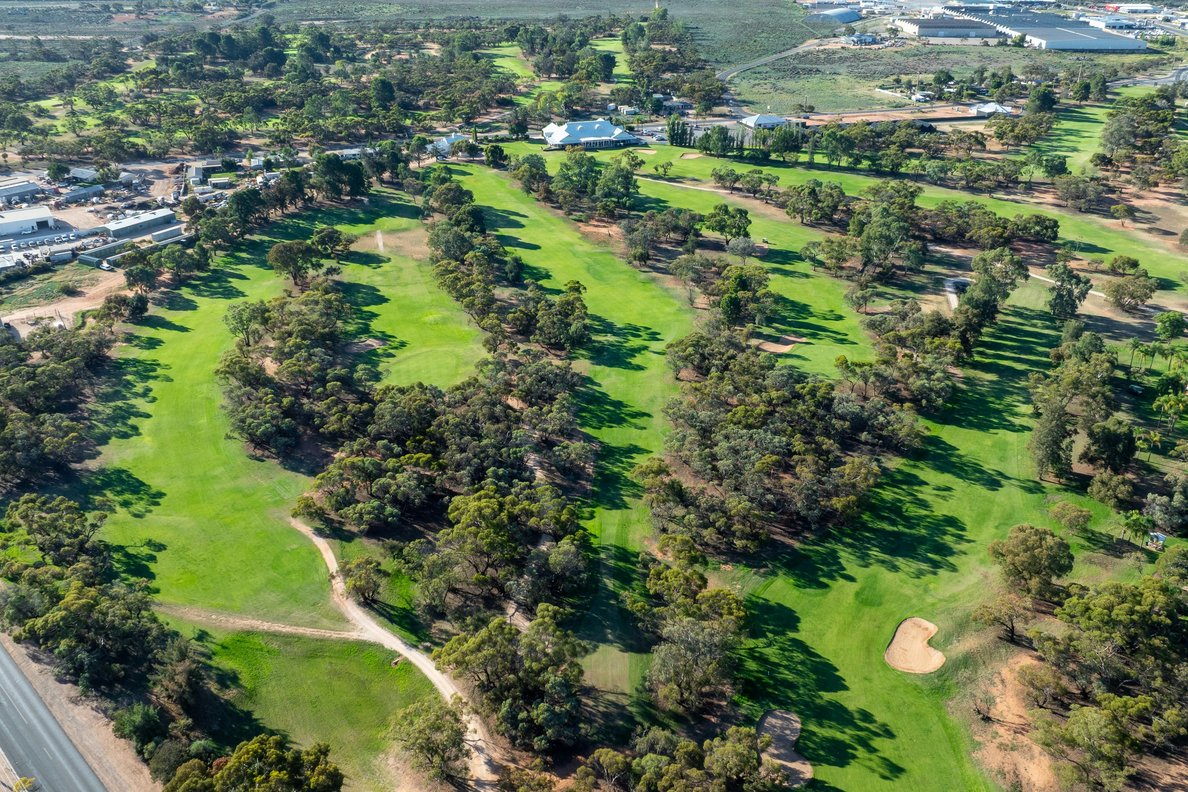 The Back Nine