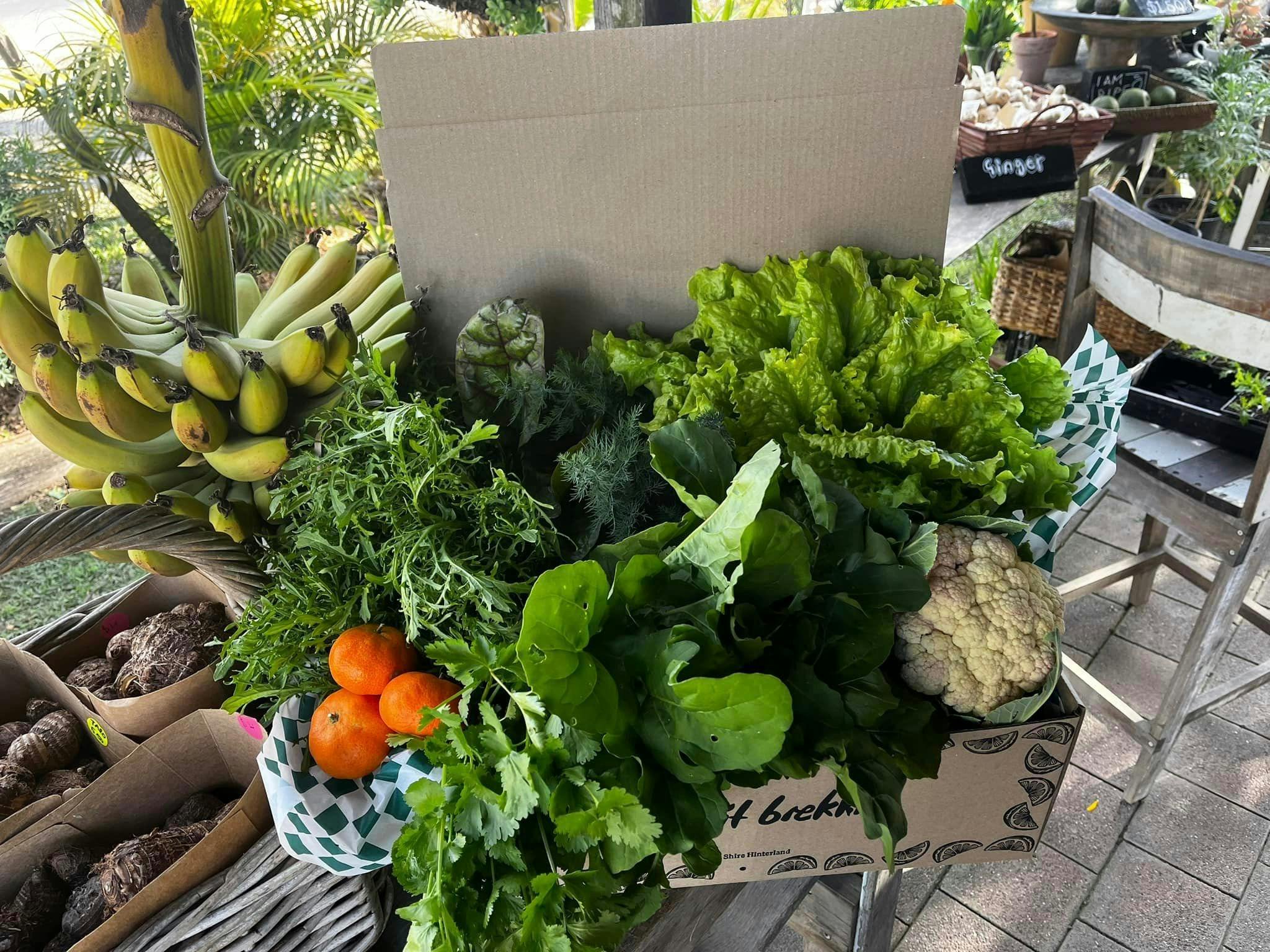 The Paddock Project Veggie Box