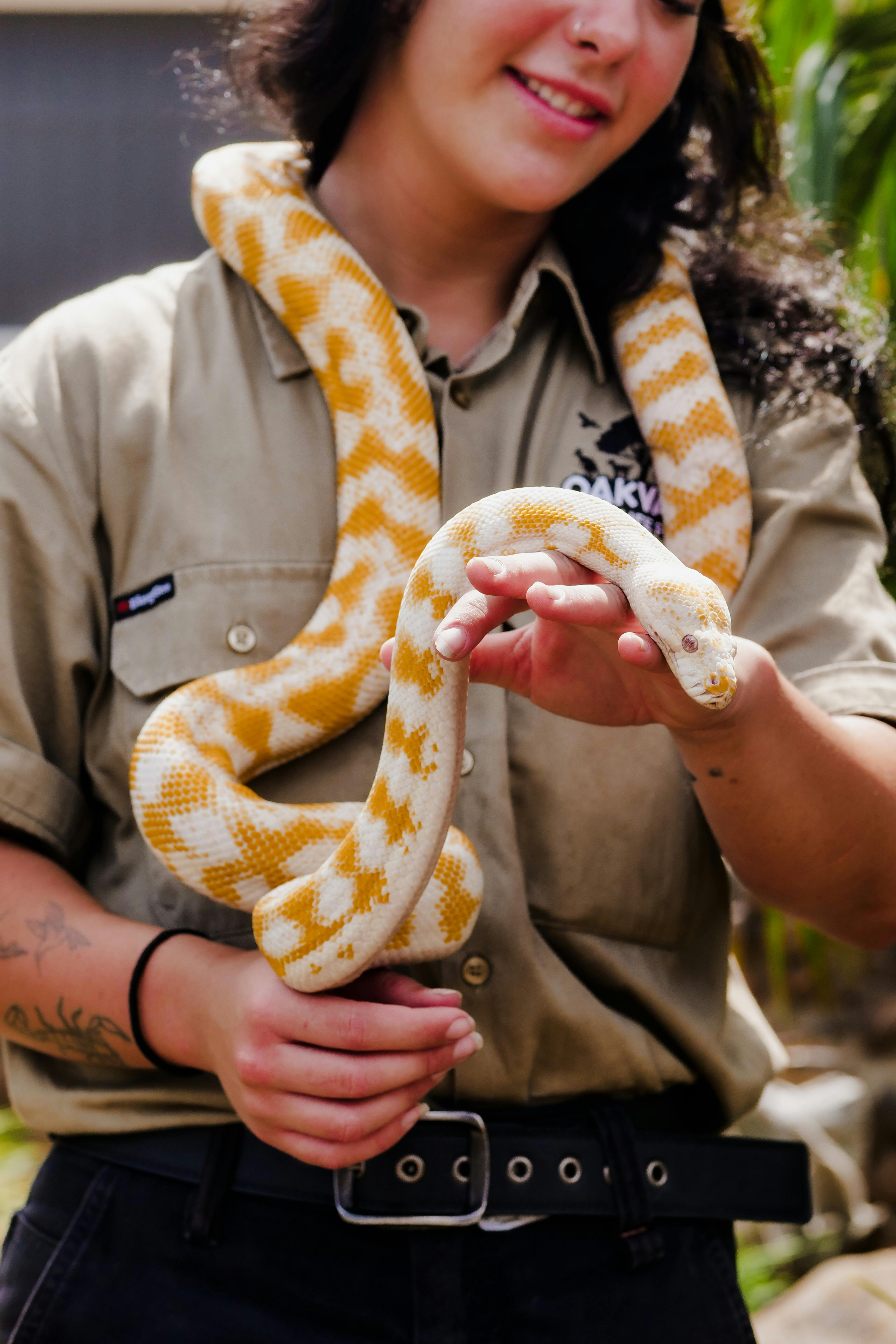 Reptile Encounter
