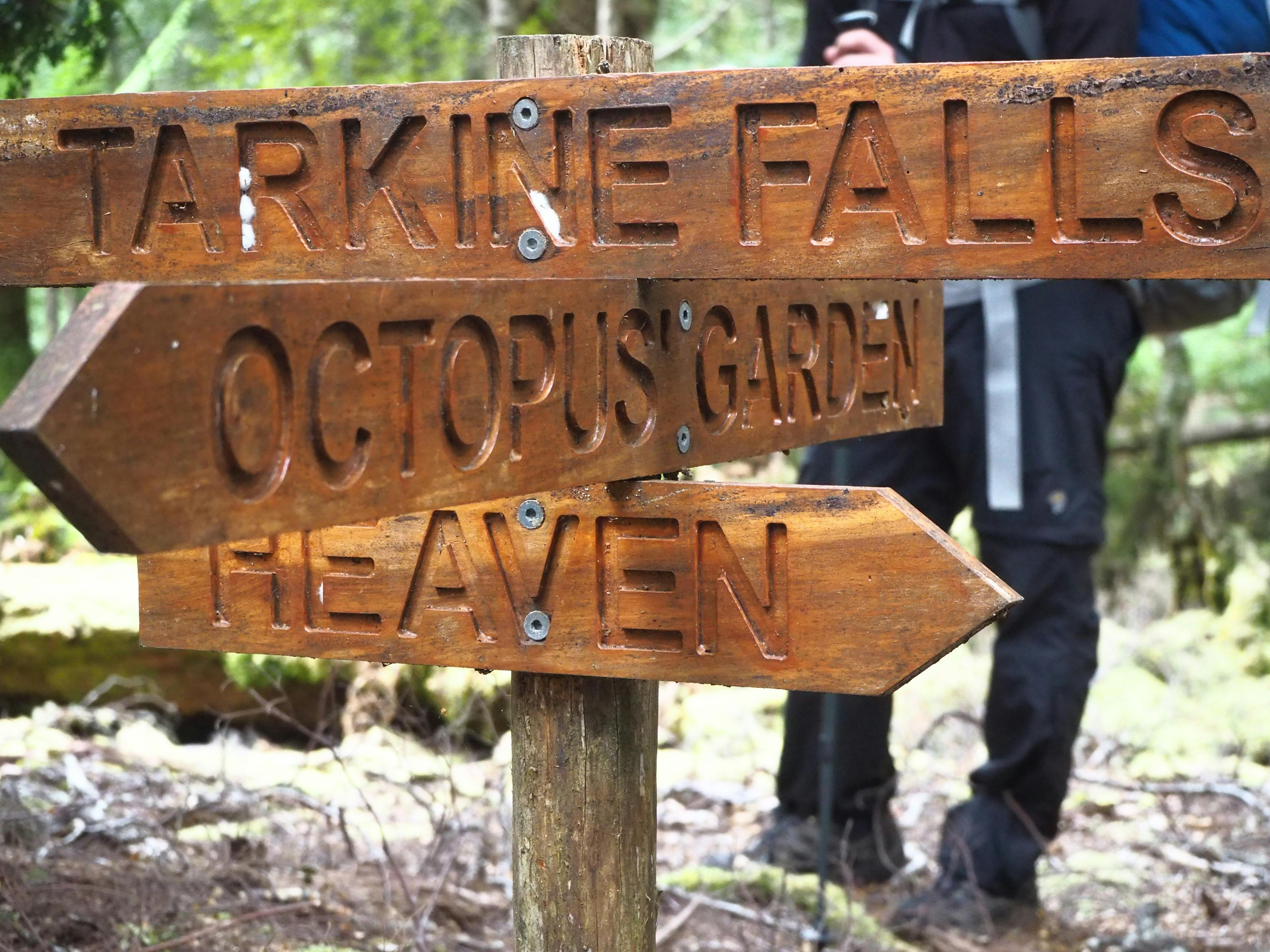 Tarkine Rainforest Expedition