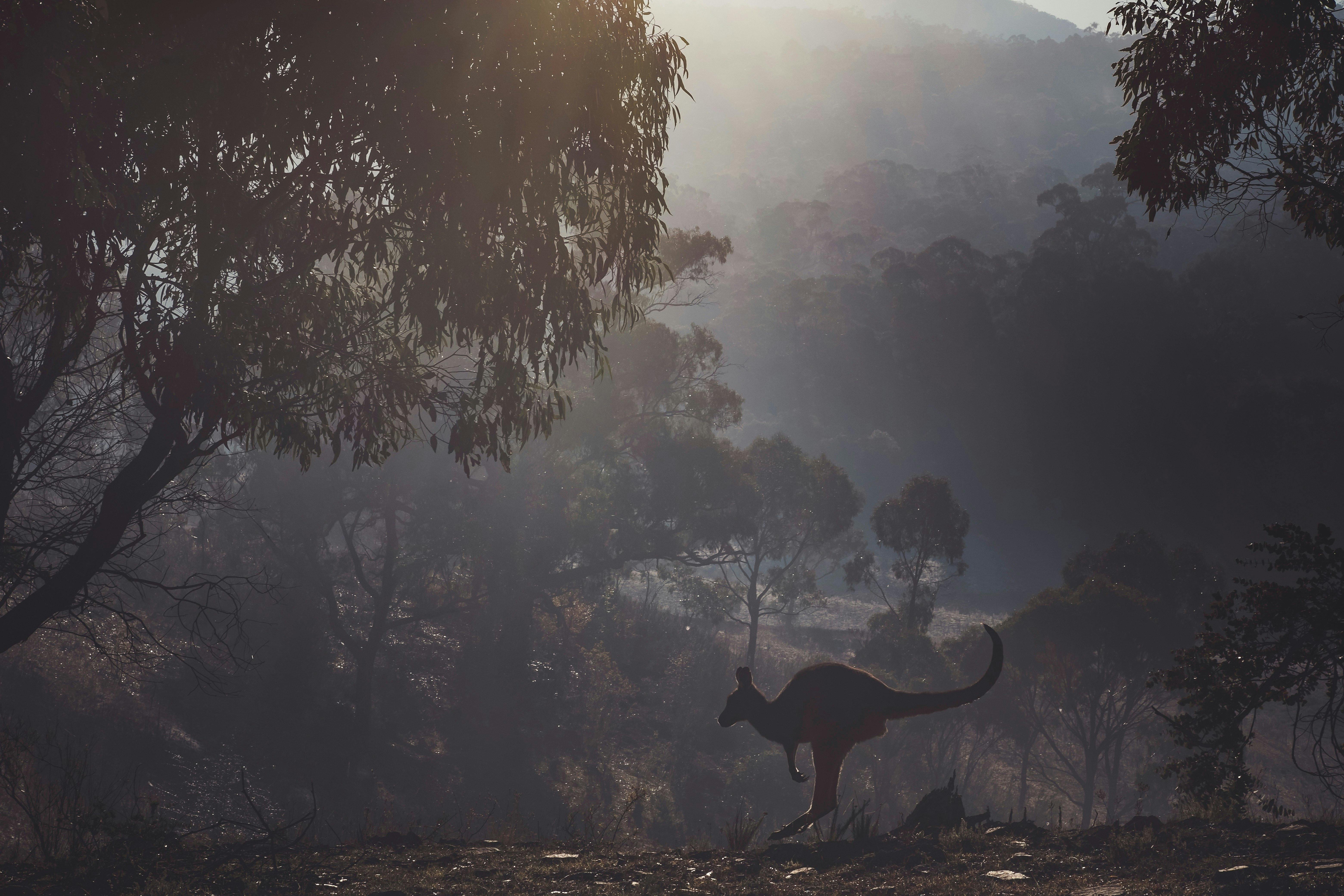 Foggy morning near the dam
