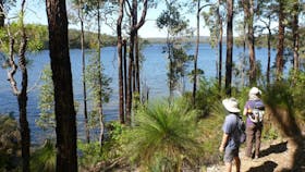 Wellington Discovery Forest, Bunbury, Western Australia