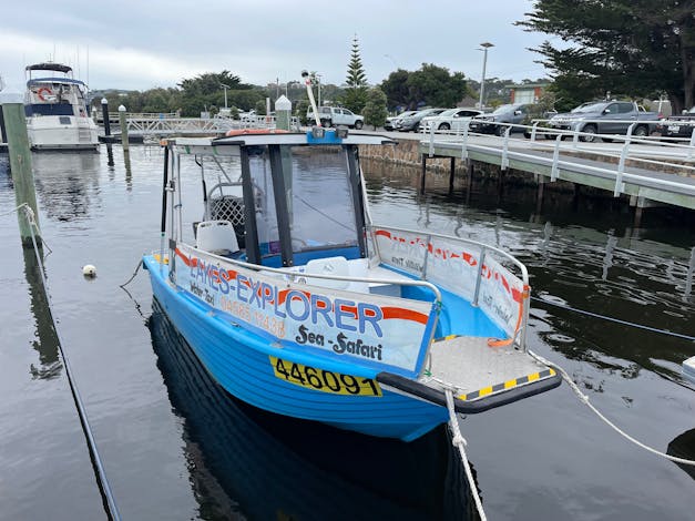 Lakes Explorer : Wildlife Tours or Water-Taxi