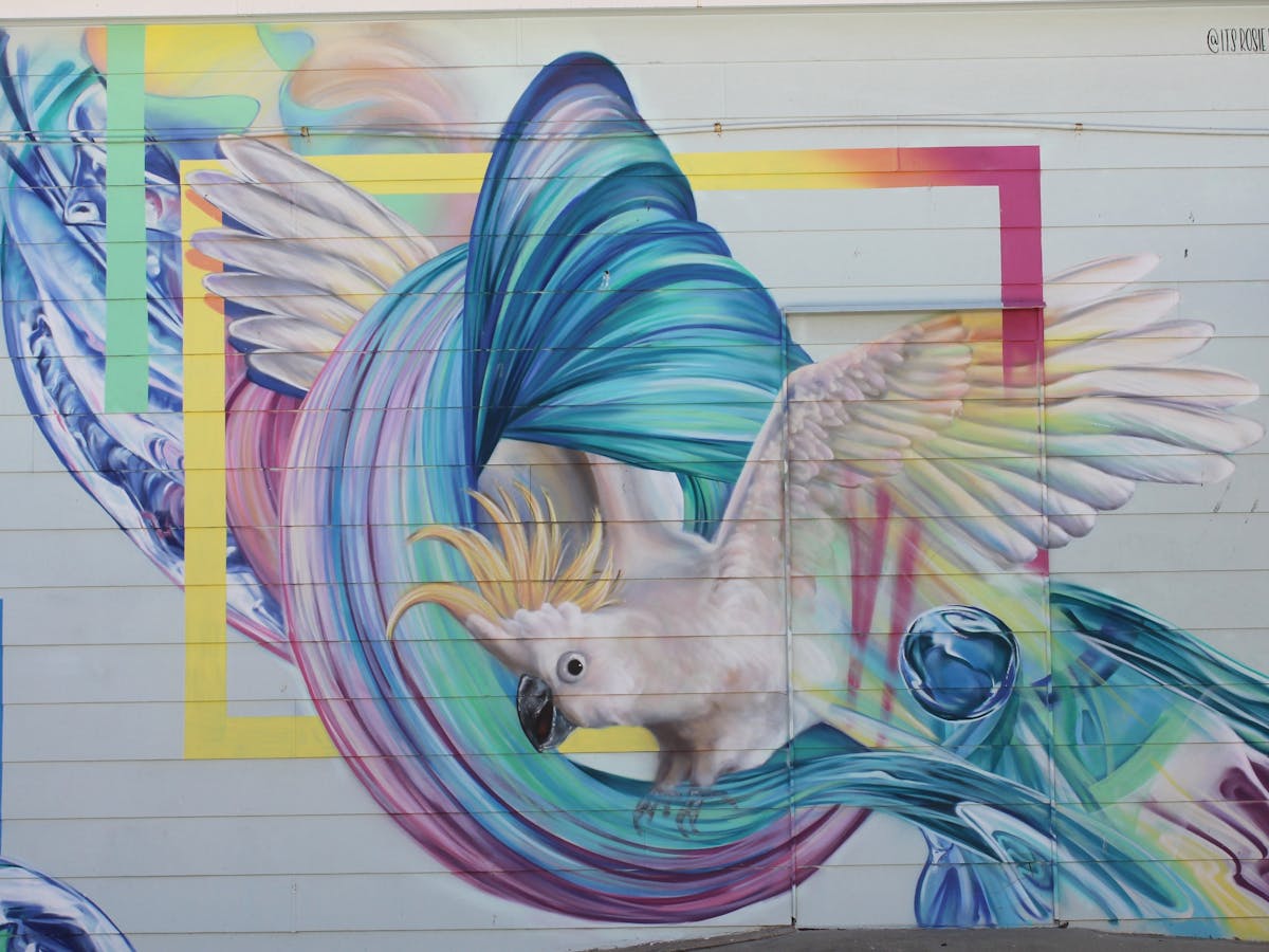 Street Art