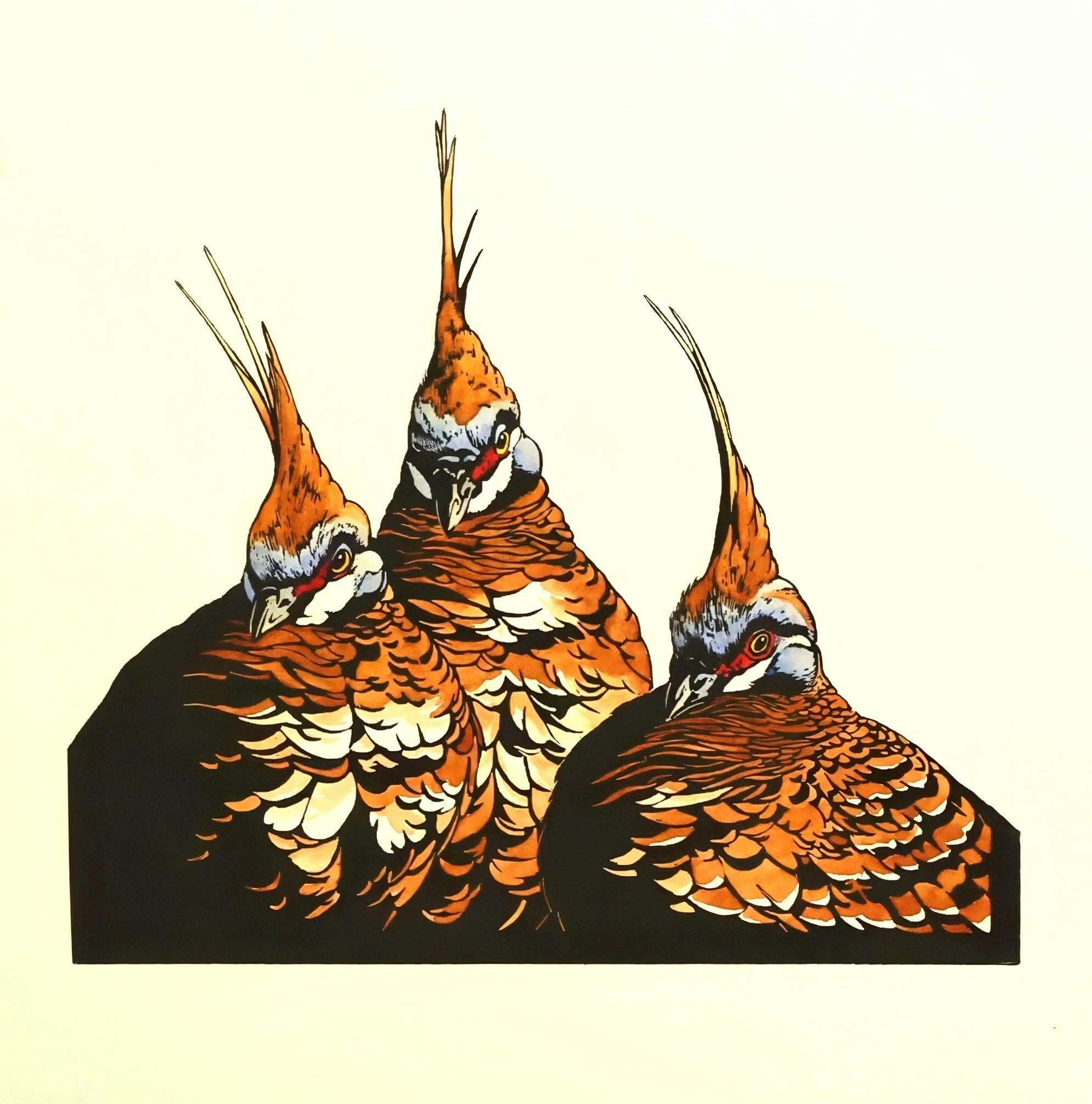 Spinifex Pigeons - Vida Pearson