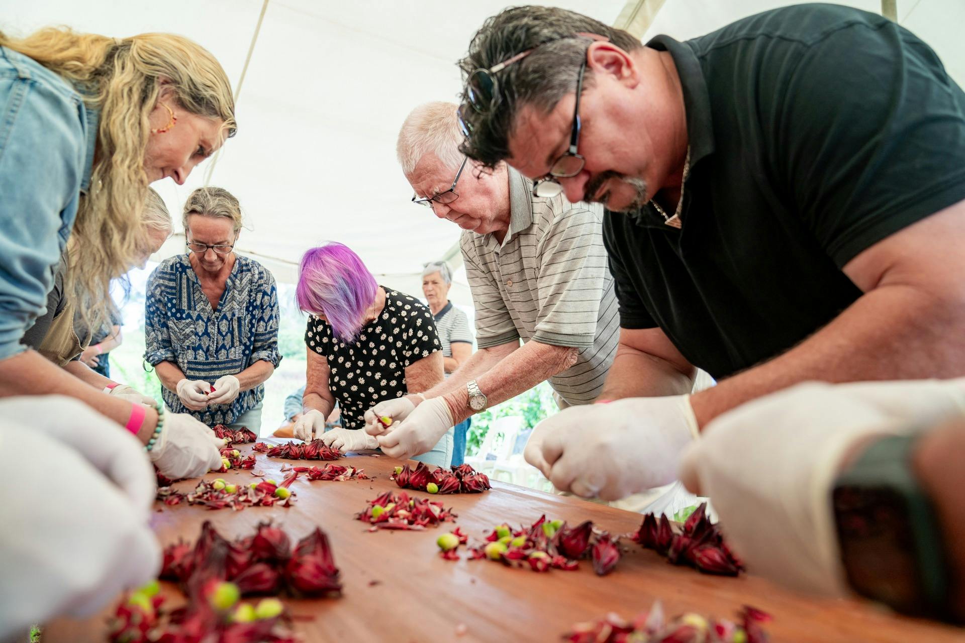 Big Rosella Field Days