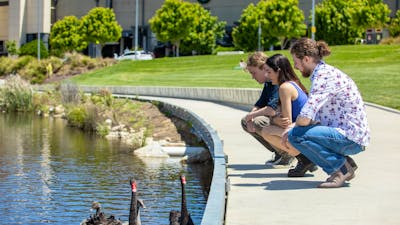 Queen Elizabeth II Park Queanbeyan