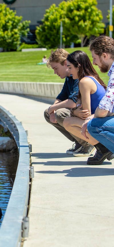 Queen Elizabeth II Park Queanbeyan