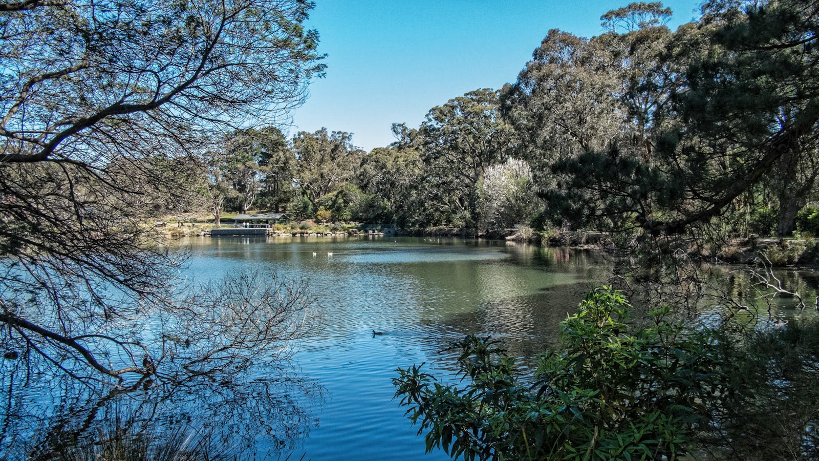 Lake Alexandra Reserve