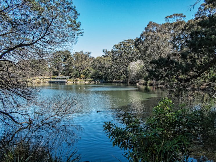 Lake Alexandra