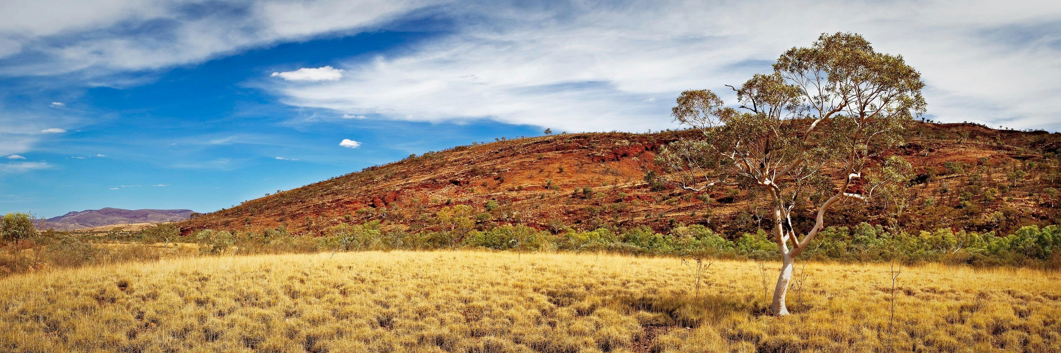 Hamersley Range