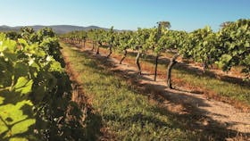 Granite Belt Winery