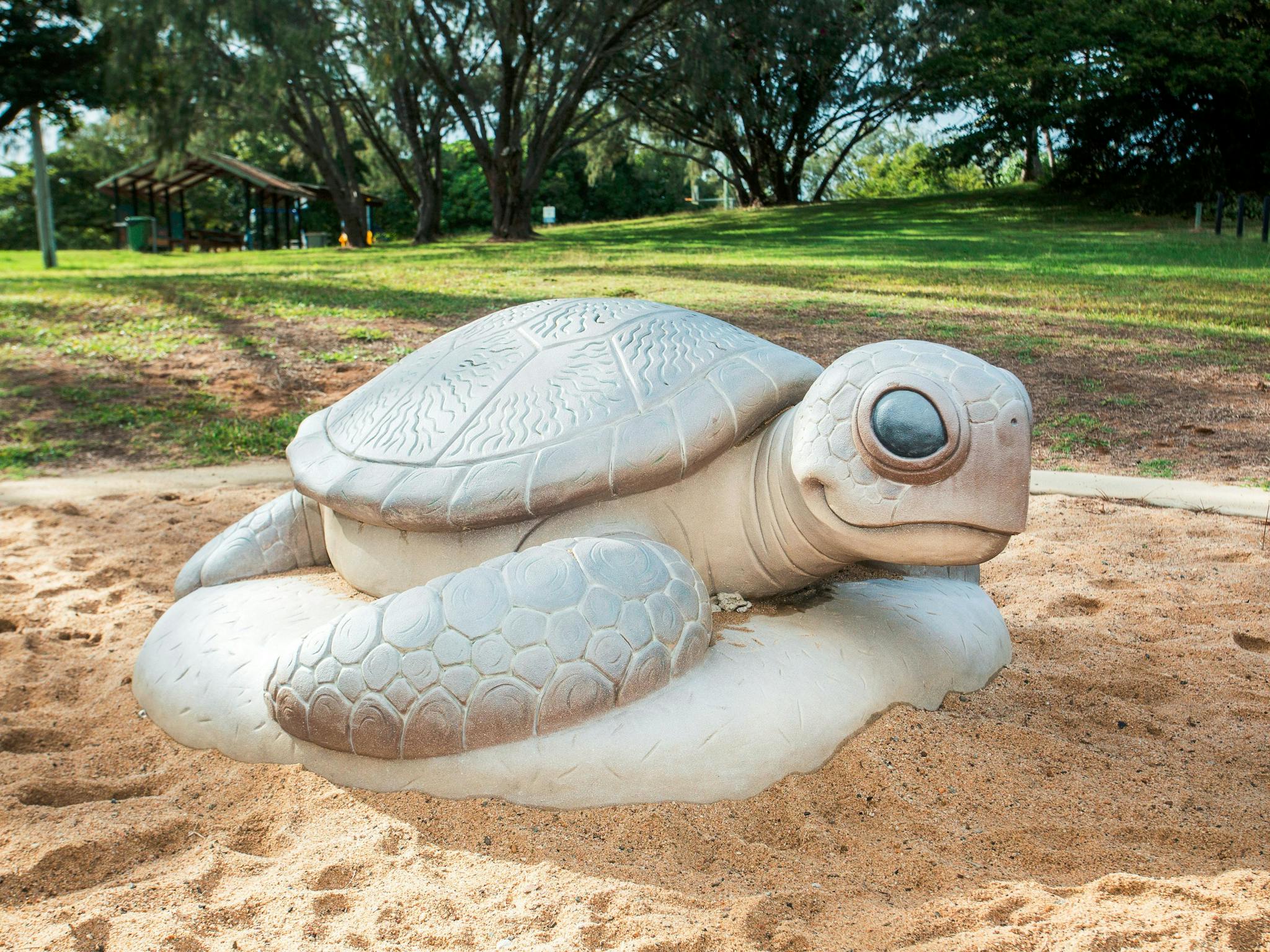 turtle turtle