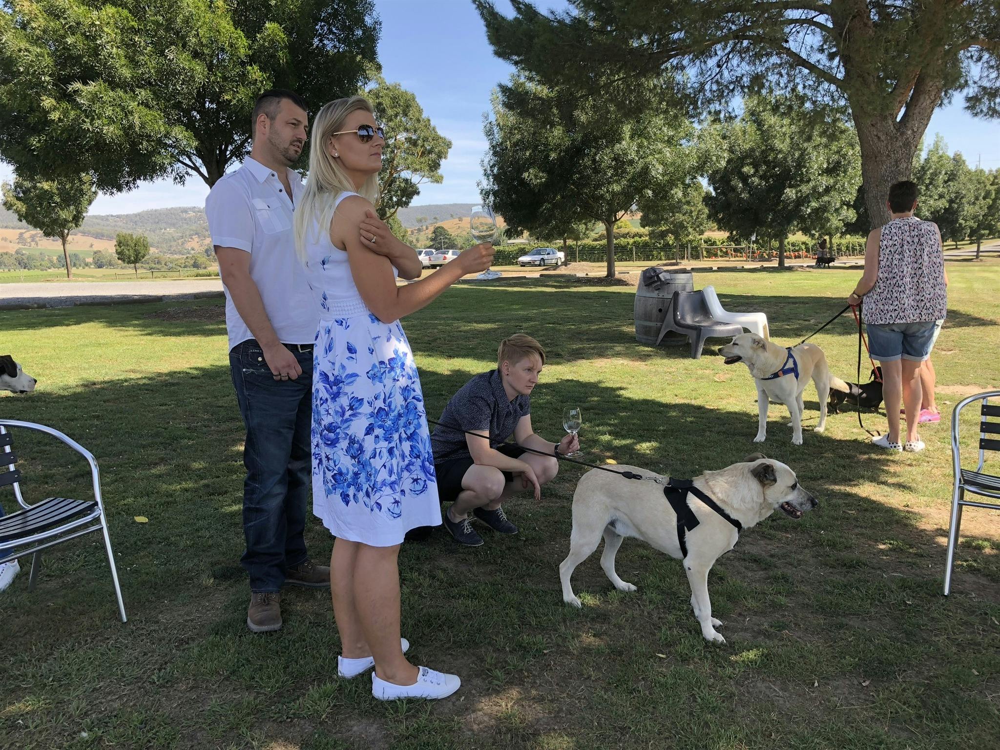 Gourmet Pawprints - Dog Friendly Tours