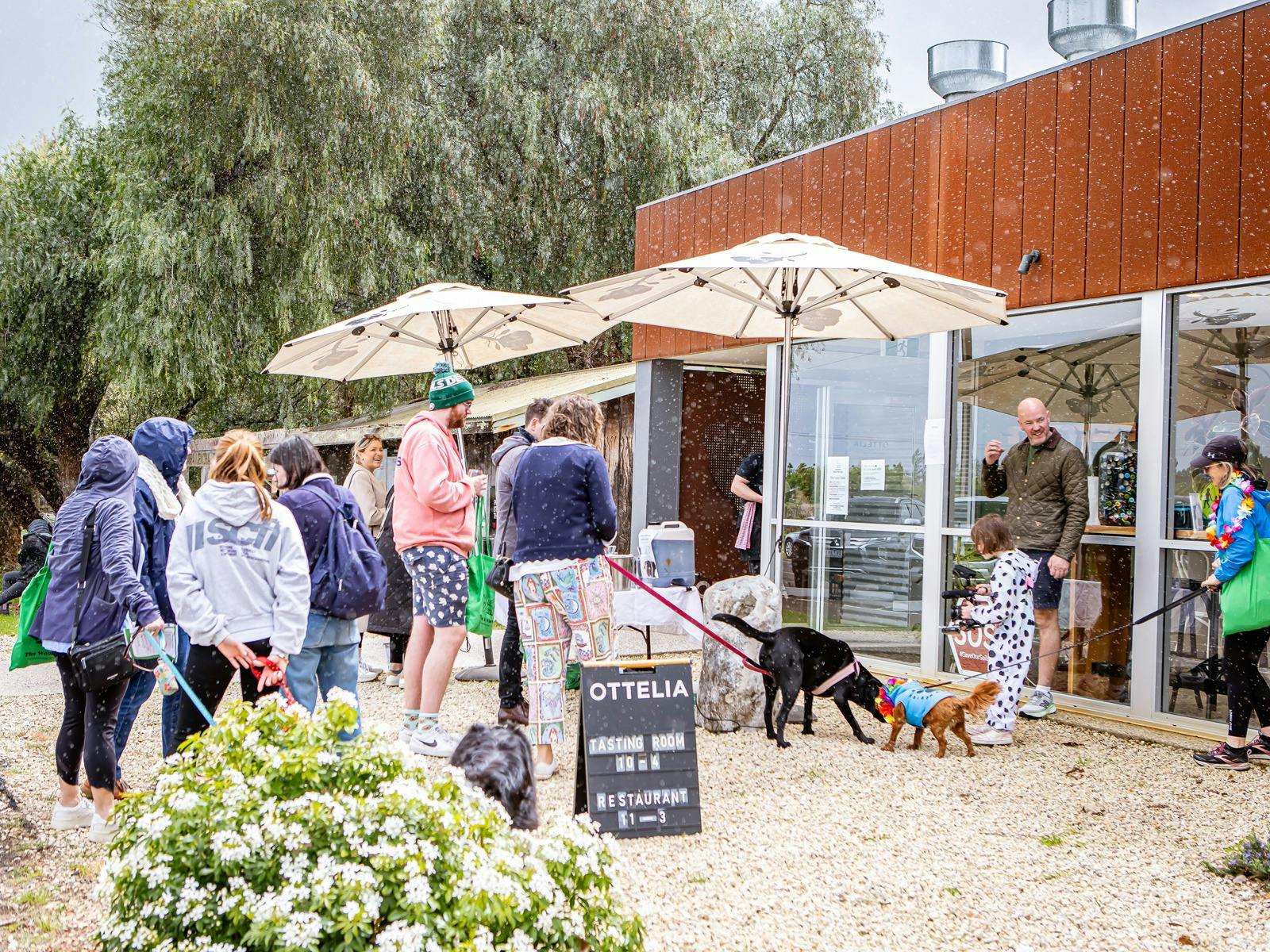 people line up at ottelia