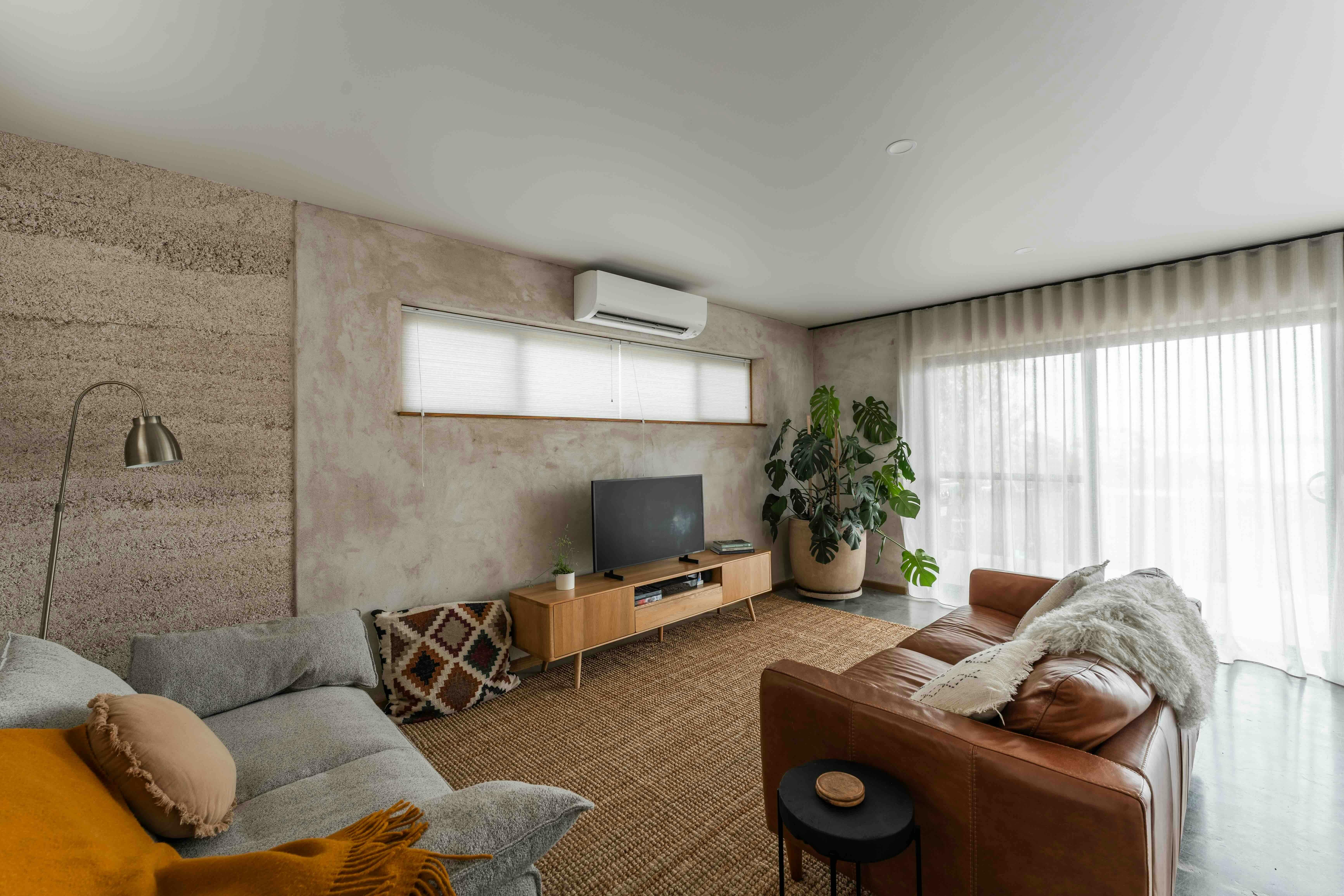 A lounge room with two couches, TV and large plant in pot in corner.