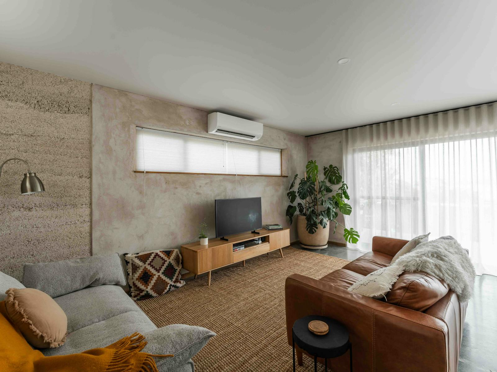 A lounge room with two couches, TV and large plant in pot in corner.