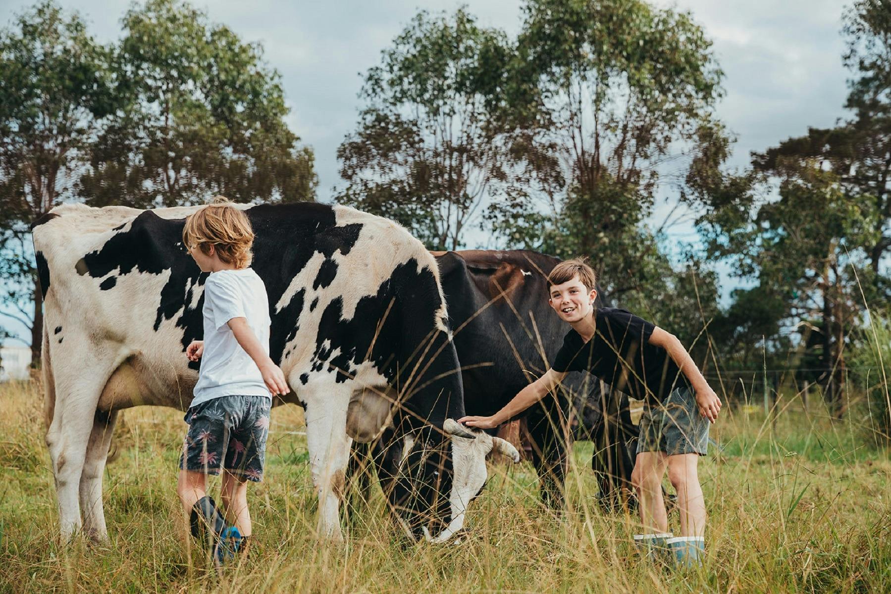 Purple Pear Farm Friends