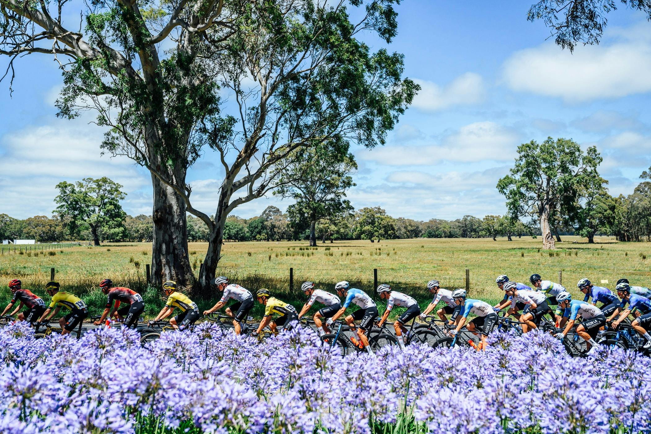 Santos Tour Down Under