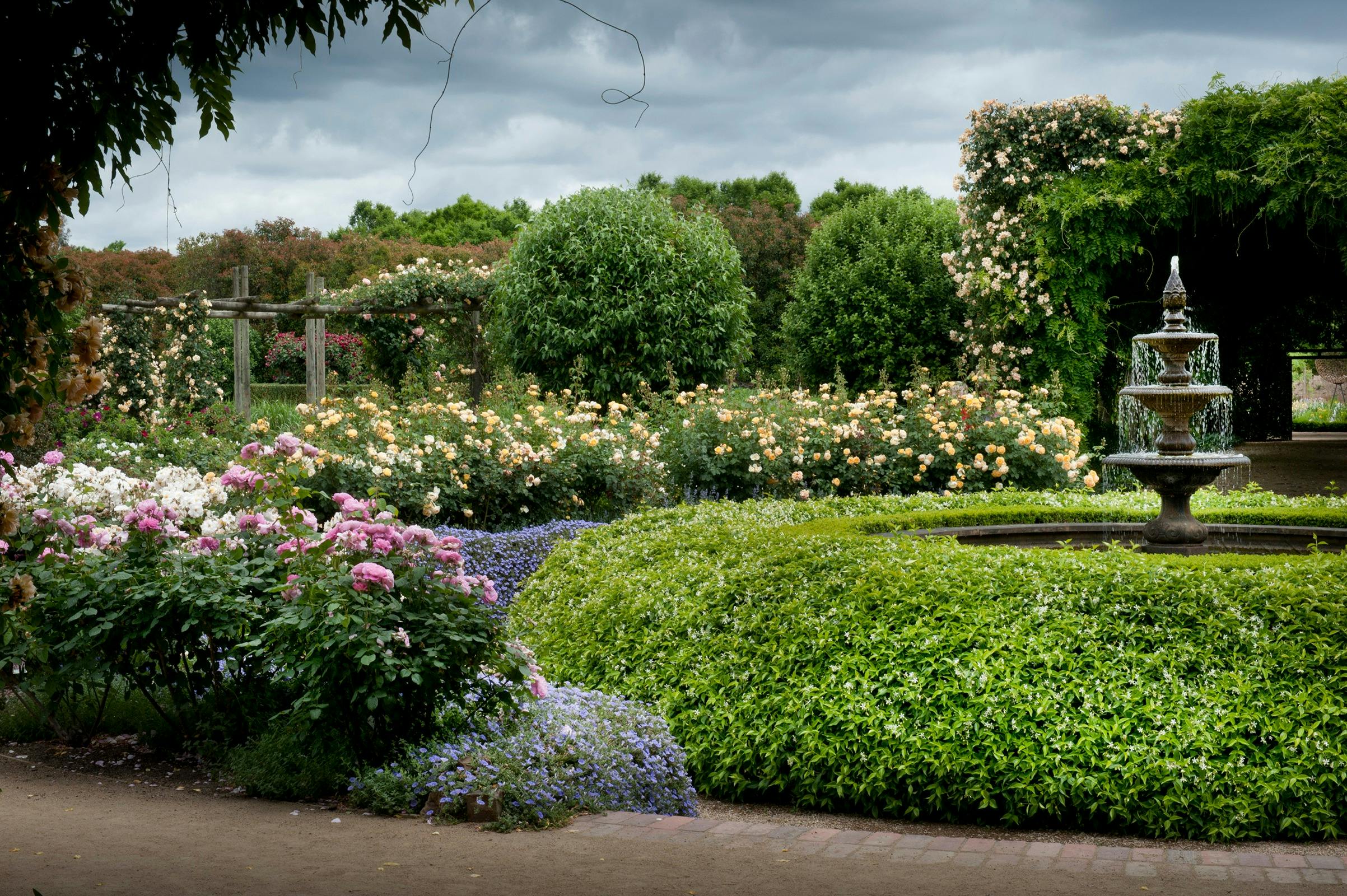 Alowyn Gardens and Nursery