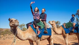Pyndan Camel Tracks