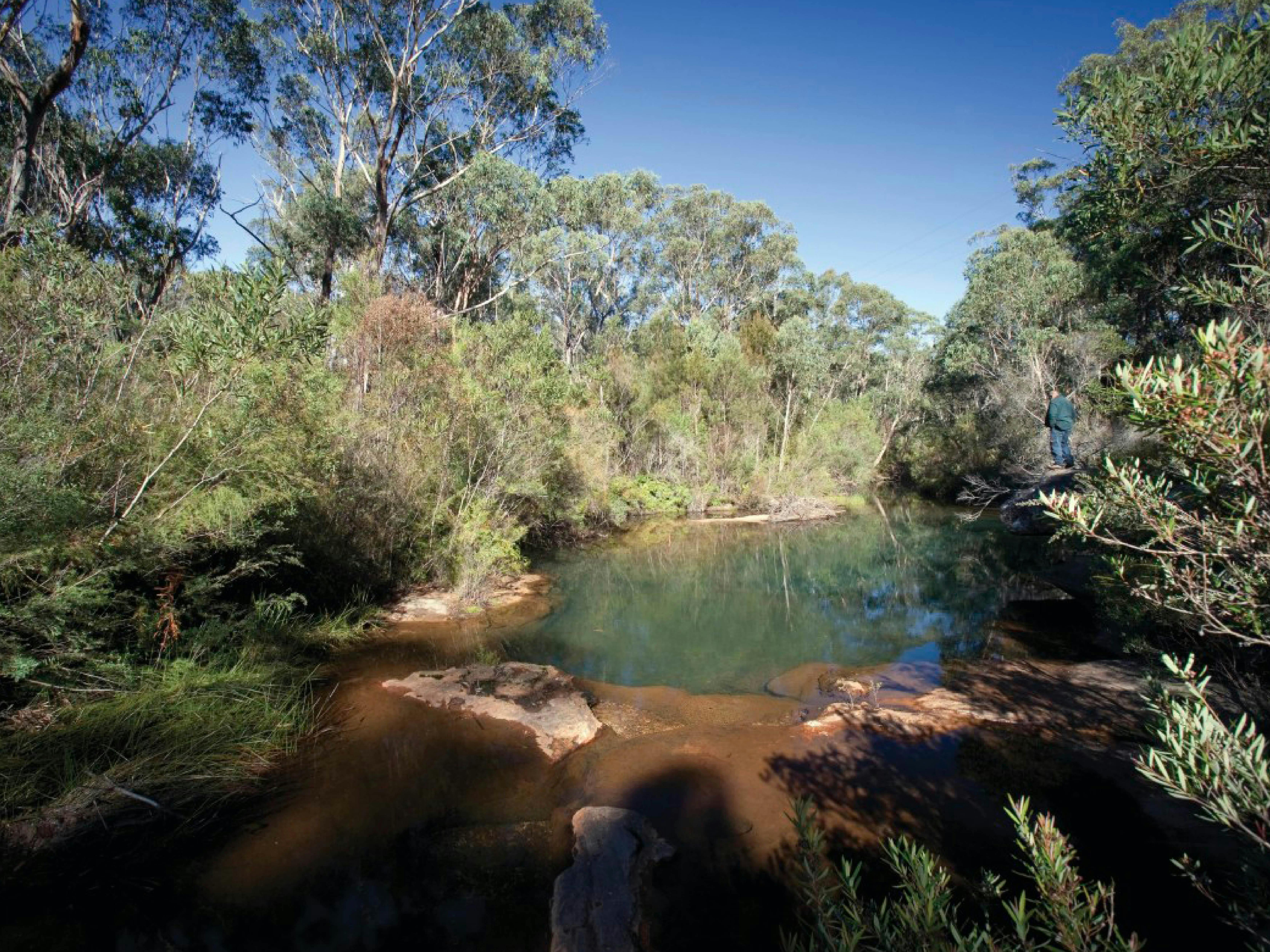 Little River in Bargo