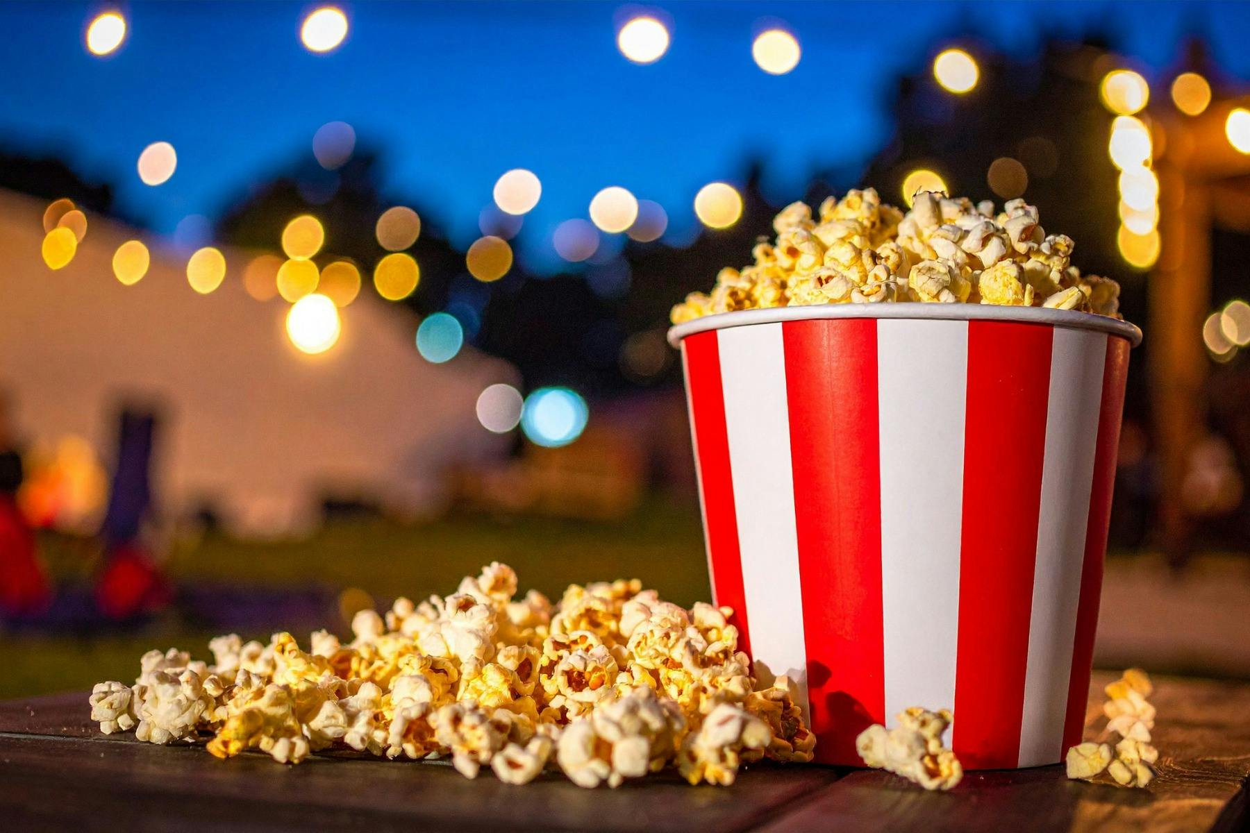 Outdoor Movie Night - Byron Bay Wildlife Sanctuary