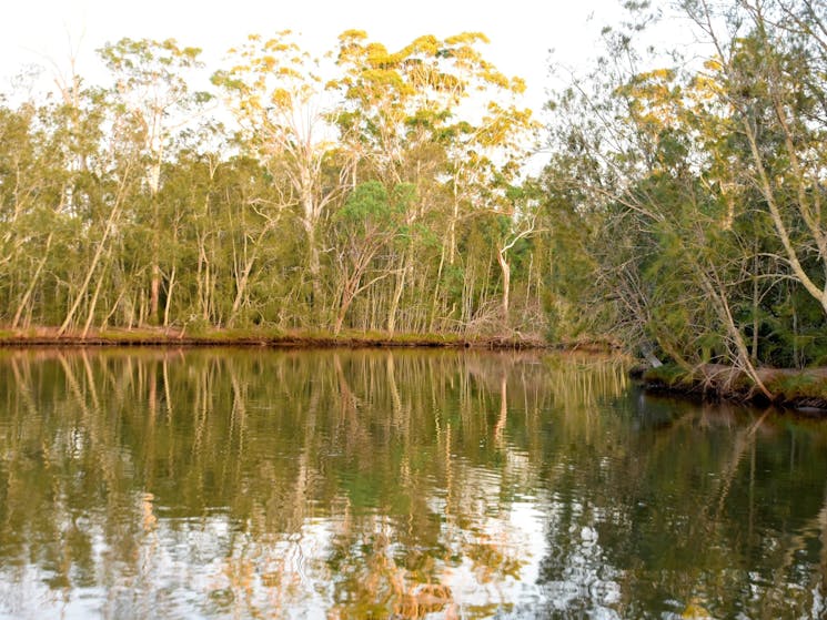 Currambene Creek