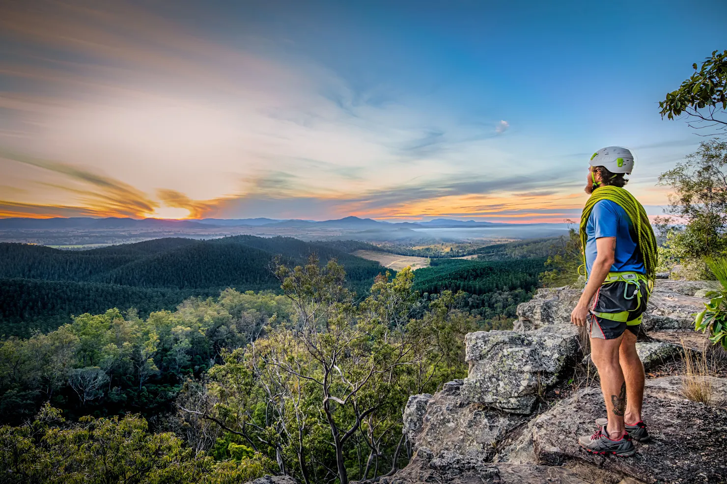 Brooyar State Forest Climber