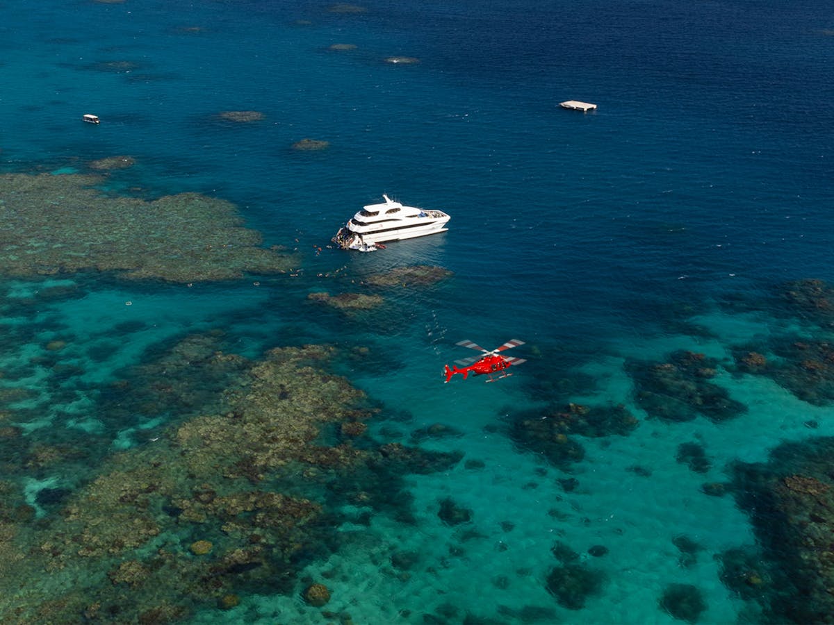 Upgrade to a spectacular Reef Scenic Helicopter Flight when travelling on Evolution