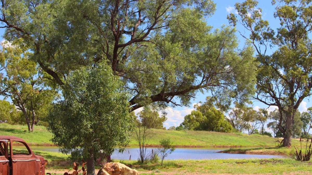 Gidgee - Relax beside the Dam