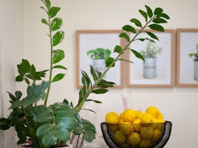 Lemons in a fruit bowl