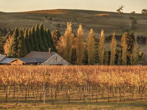 Southern Highlands