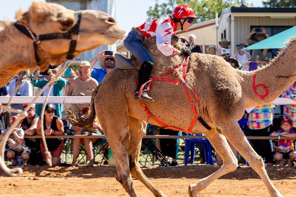 Boulia Camel Races