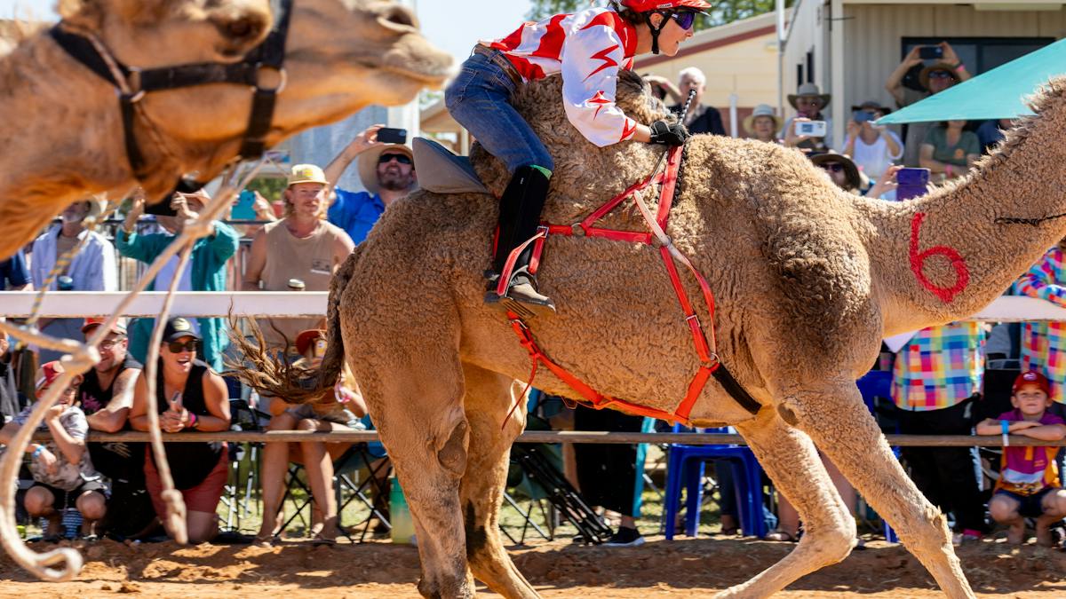 Boulia Camel Races | Events | Queensland