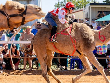 Boulia Camel Races in the Land of the Min Min Light
