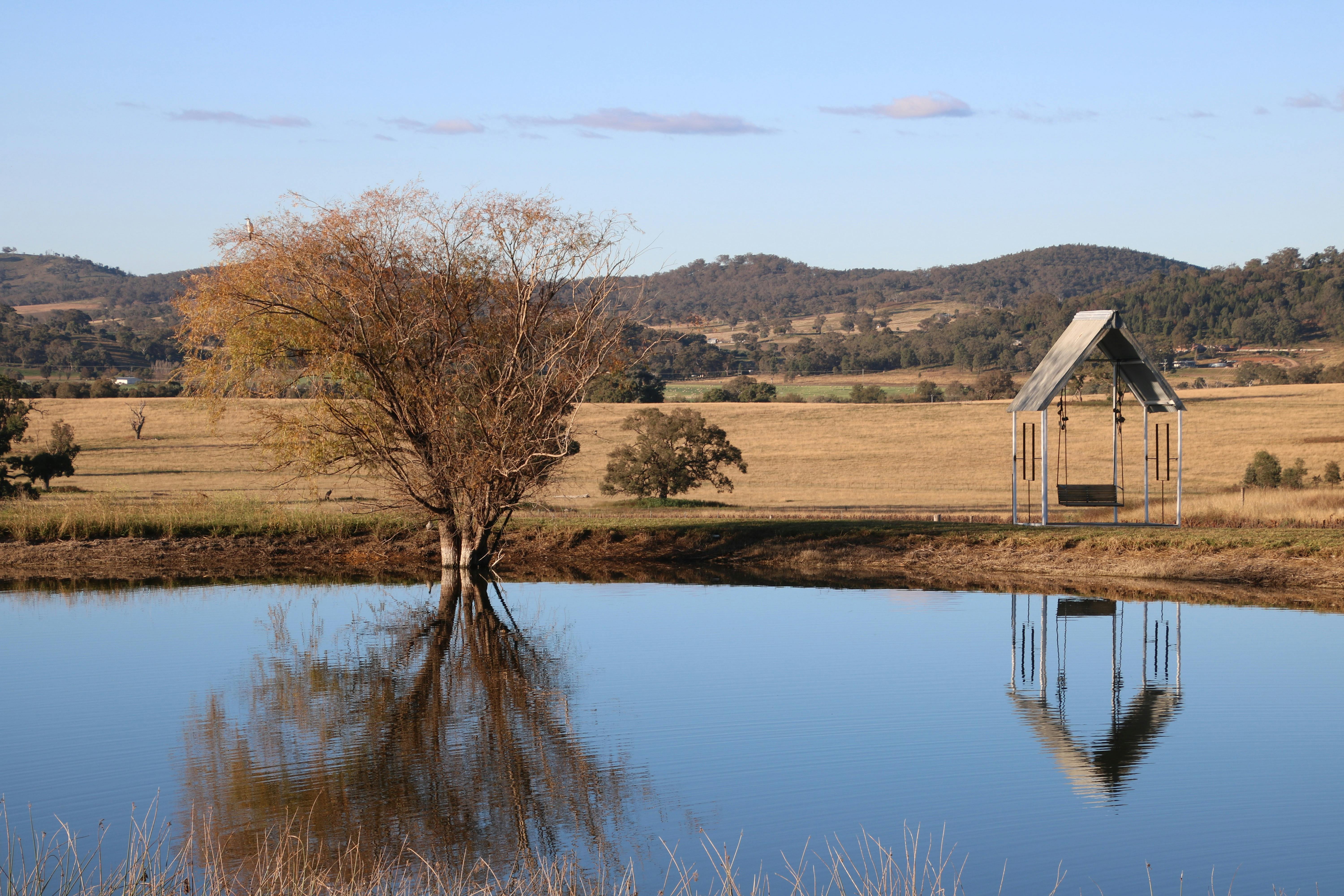 Countryside in Mudgee